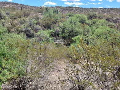 Unobstructed views from this 4.25 acre parcel nestled in the on Del Lago Golf Club in Arizona - for sale on GolfHomes.com, golf home, golf lot