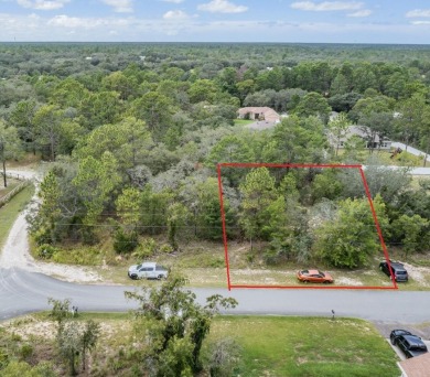 Opportunity awaits with this high and dry, oversized .46-acre on Dunes Golf Club in Florida - for sale on GolfHomes.com, golf home, golf lot