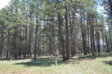 Super affordable, flat, buildable lot just a few minutes from on Angel Fire Resort Country Club in New Mexico - for sale on GolfHomes.com, golf home, golf lot