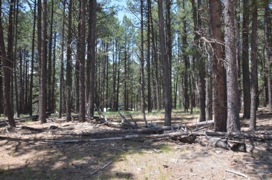 Super affordable, flat, buildable lot just a few minutes from on Angel Fire Resort Country Club in New Mexico - for sale on GolfHomes.com, golf home, golf lot