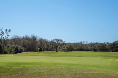 126 Marshside Dr Perfectly Positioned Overlooking The 8th Green on Marsh Creek Country Club in Florida - for sale on GolfHomes.com, golf home, golf lot