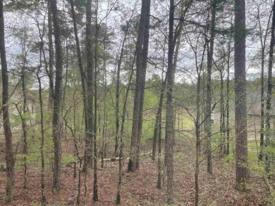 Golf front lot on Balboa, looking at the 18th Fairway. Walking on Balboa Golf Course in Arkansas - for sale on GolfHomes.com, golf home, golf lot