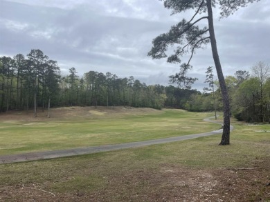 Golf front lot on Balboa, looking at the 18th Fairway. Walking on Balboa Golf Course in Arkansas - for sale on GolfHomes.com, golf home, golf lot