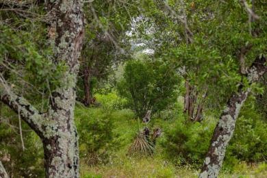 Come Enjoy the One of the Texas Top Resort Places to Live on Slick Rock Golf Course - Horseshoe Bay in Texas - for sale on GolfHomes.com, golf home, golf lot