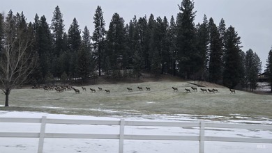 Kitchen island recently adjusted (if have seen before!) Views on Terrace Lakes Golf Resort in ID - for sale on GolfHomes.com, golf home, golf lot