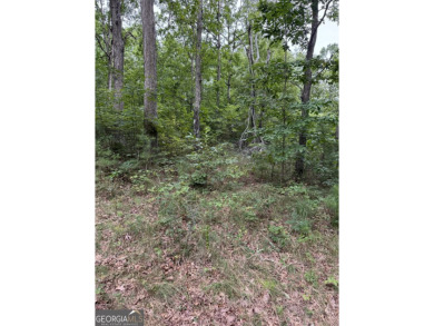 Come get lost from the busy hustle and bustle of city life for a on McLemore Golf Club in Georgia - for sale on GolfHomes.com, golf home, golf lot