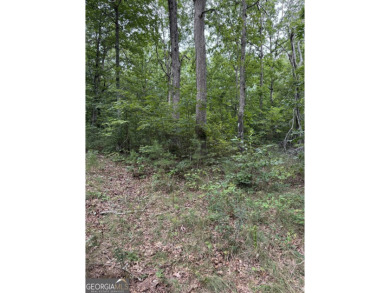 Come get lost from the busy hustle and bustle of city life for a on McLemore Golf Club in Georgia - for sale on GolfHomes.com, golf home, golf lot