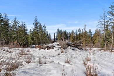 Absolutely stunning and truly one-of-a-kind, this 1.22-acre on The Idaho Club in Idaho - for sale on GolfHomes.com, golf home, golf lot