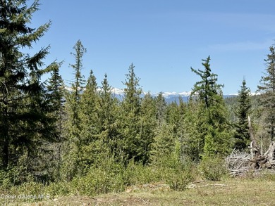 Absolutely stunning and truly one-of-a-kind, this 1.22-acre on The Idaho Club in Idaho - for sale on GolfHomes.com, golf home, golf lot