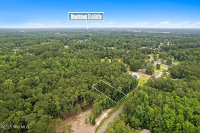 Build your coastal dream home on this wooded private lot in on Brierwood Golf Club in North Carolina - for sale on GolfHomes.com, golf home, golf lot