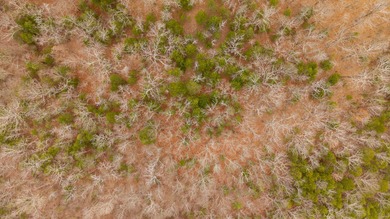 CITY CONVENIENCE MEETS UNRESTRICTED LAND IN CHEROKEE VILLAGEThis on Cherokee Village North Course in Arkansas - for sale on GolfHomes.com, golf home, golf lot