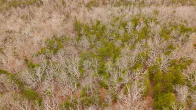 CITY CONVENIENCE MEETS UNRESTRICTED LAND IN CHEROKEE VILLAGEThis on Cherokee Village North Course in Arkansas - for sale on GolfHomes.com, golf home, golf lot