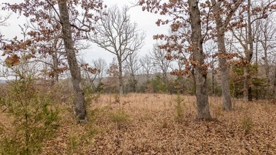 CITY CONVENIENCE MEETS UNRESTRICTED LAND IN CHEROKEE VILLAGEThis on Cherokee Village North Course in Arkansas - for sale on GolfHomes.com, golf home, golf lot