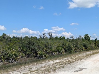Come build your forever home on this one-half acre lot that on Indian Lake Estates Golf and Country Club in Florida - for sale on GolfHomes.com, golf home, golf lot