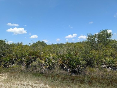 Come build your forever home on this one-half acre lot that on Indian Lake Estates Golf and Country Club in Florida - for sale on GolfHomes.com, golf home, golf lot