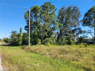 This parcel offers tremendous potential to build your future on Copperhead Golf Club in Florida - for sale on GolfHomes.com, golf home, golf lot