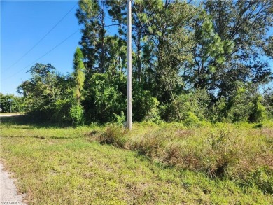 This parcel offers tremendous potential to build your future on Copperhead Golf Club in Florida - for sale on GolfHomes.com, golf home, golf lot