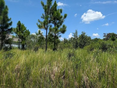 Exceptional 1/2 Acre Lot in Indian Lake Estates - Prime Location on Indian Lake Estates Golf and Country Club in Florida - for sale on GolfHomes.com, golf home, golf lot