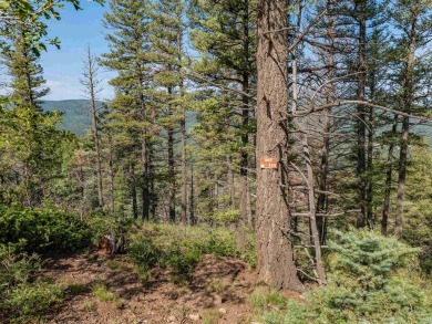 Be amazed by 180 degrees of unobstructed views with this 5 on Angel Fire Resort Country Club in New Mexico - for sale on GolfHomes.com, golf home, golf lot