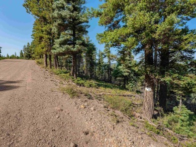 Be amazed by 180 degrees of unobstructed views with this 5 on Angel Fire Resort Country Club in New Mexico - for sale on GolfHomes.com, golf home, golf lot