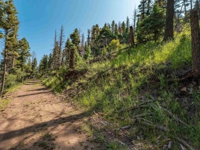 Be amazed by 180 degrees of unobstructed views with this 5 on Angel Fire Resort Country Club in New Mexico - for sale on GolfHomes.com, golf home, golf lot