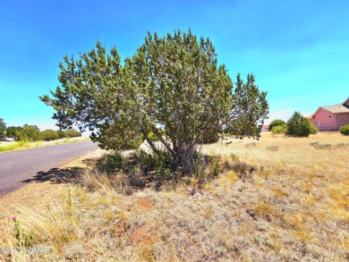 Grab your GOLF CLUBS & get your FISHING POLES ready! This on Silver Creek Golf Club in Arizona - for sale on GolfHomes.com, golf home, golf lot