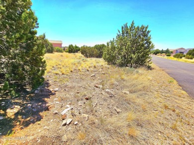 Grab your GOLF CLUBS & get your FISHING POLES ready! This on Silver Creek Golf Club in Arizona - for sale on GolfHomes.com, golf home, golf lot