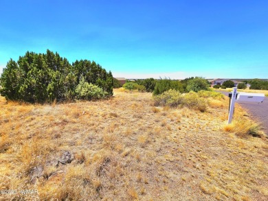 Grab your GOLF CLUBS & get your FISHING POLES ready! This on Silver Creek Golf Club in Arizona - for sale on GolfHomes.com, golf home, golf lot