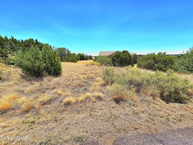 Grab your GOLF CLUBS & get your FISHING POLES ready! This on Silver Creek Golf Club in Arizona - for sale on GolfHomes.com, golf home, golf lot