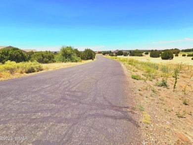 Grab your GOLF CLUBS & get your FISHING POLES ready! This on Silver Creek Golf Club in Arizona - for sale on GolfHomes.com, golf home, golf lot