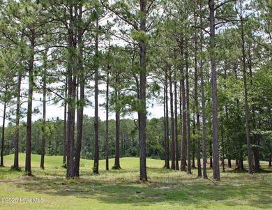 Opportunity knocks! Prime Golf course homesite with pond views on Ocean Ridge Plantation in North Carolina - for sale on GolfHomes.com, golf home, golf lot