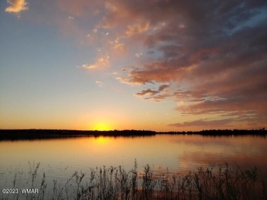 Grab your GOLF CLUBS & get your FISHING POLES ready! This on Silver Creek Golf Club in Arizona - for sale on GolfHomes.com, golf home, golf lot