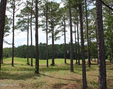 Opportunity knocks! Prime Golf course homesite with pond views on Ocean Ridge Plantation in North Carolina - for sale on GolfHomes.com, golf home, golf lot