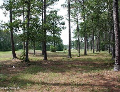 Opportunity knocks! Prime Golf course homesite with pond views on Ocean Ridge Plantation in North Carolina - for sale on GolfHomes.com, golf home, golf lot