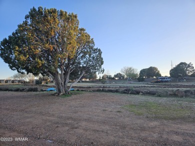 Grab your GOLF CLUBS & get your FISHING POLES ready! This on Silver Creek Golf Club in Arizona - for sale on GolfHomes.com, golf home, golf lot