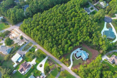 Exquisite Coastal Living in Pawleys Island  The Magnolia on True Blue Plantation in South Carolina - for sale on GolfHomes.com, golf home, golf lot