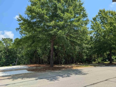 Discover the perfect blend of luxury and leisure with this golf on Cobblestone Park Golf Club in South Carolina - for sale on GolfHomes.com, golf home, golf lot