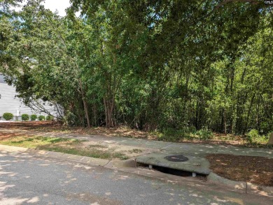 Discover the perfect blend of luxury and leisure with this golf on Cobblestone Park Golf Club in South Carolina - for sale on GolfHomes.com, golf home, golf lot