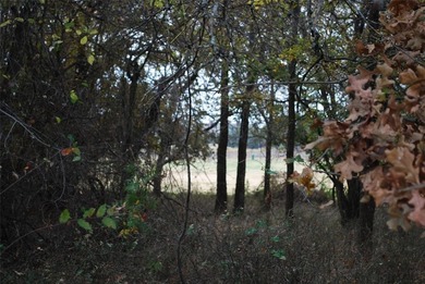 Get away from in all in White Bluff Resort a 24-7 gated on White Bluff Resort - New Course in Texas - for sale on GolfHomes.com, golf home, golf lot