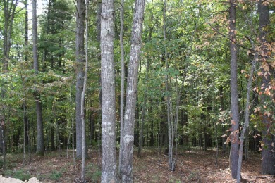 Lots 30, 31 and 32, total of 8.74 Acres Located in Pipestem on Pipestem Golf Club - Regulation in West Virginia - for sale on GolfHomes.com, golf home, golf lot