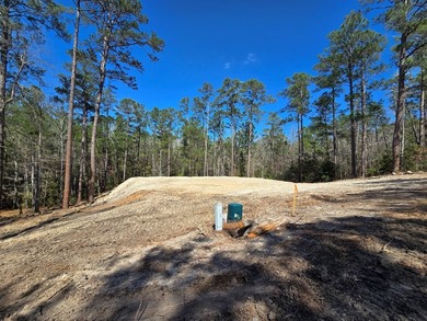 Two partially cleared lots ready for your dream home in the on Rayburn Country Club in Texas - for sale on GolfHomes.com, golf home, golf lot