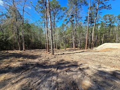 Two partially cleared lots ready for your dream home in the on Rayburn Country Club in Texas - for sale on GolfHomes.com, golf home, golf lot