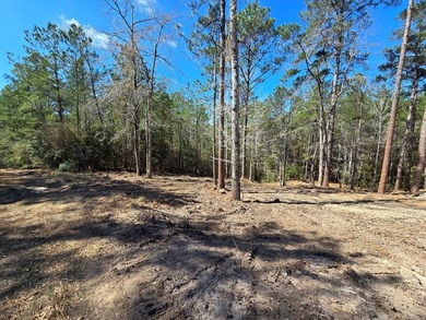 Two partially cleared lots ready for your dream home in the on Rayburn Country Club in Texas - for sale on GolfHomes.com, golf home, golf lot