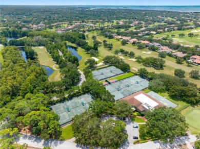 Experience executive-style living in The Promontory at on Innisbrook Resort and Golf Club in Florida - for sale on GolfHomes.com, golf home, golf lot