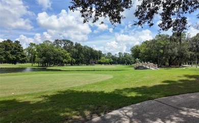 Experience executive-style living in The Promontory at on Innisbrook Resort and Golf Club in Florida - for sale on GolfHomes.com, golf home, golf lot