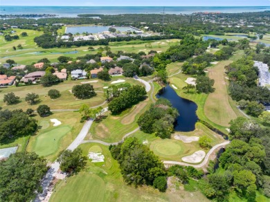 Experience executive-style living in The Promontory at on Innisbrook Resort and Golf Club in Florida - for sale on GolfHomes.com, golf home, golf lot