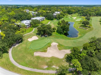 Experience executive-style living in The Promontory at on Innisbrook Resort and Golf Club in Florida - for sale on GolfHomes.com, golf home, golf lot