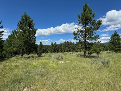 VIEWS!!! This easy-to-build-on lot has everything, because few on Angel Fire Resort Country Club in New Mexico - for sale on GolfHomes.com, golf home, golf lot