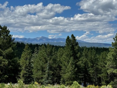 VIEWS!!! This easy-to-build-on lot has everything, because few on Angel Fire Resort Country Club in New Mexico - for sale on GolfHomes.com, golf home, golf lot