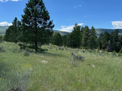 VIEWS!!! This easy-to-build-on lot has everything, because few on Angel Fire Resort Country Club in New Mexico - for sale on GolfHomes.com, golf home, golf lot